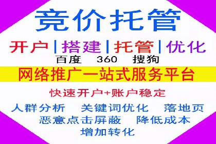 竞价推广成功案例解析